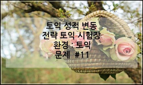 오늘의 이미지