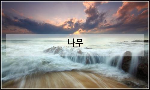 오늘의 이미지