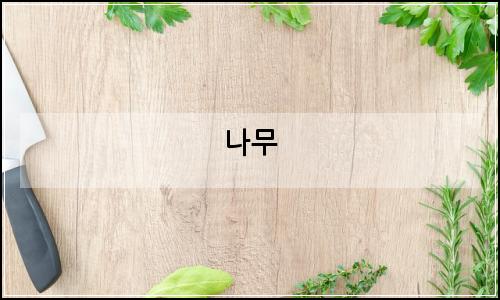 오늘의 이미지