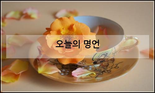 오늘의 이미지