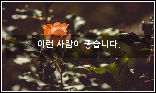 오늘의 이미지