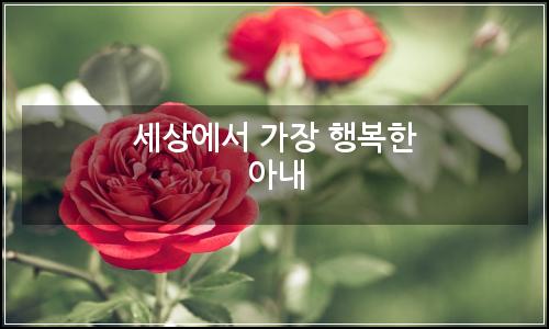 오늘의 이미지