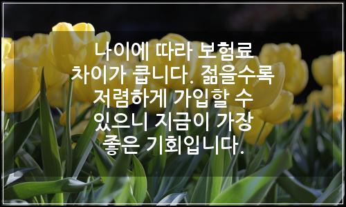 오늘의 이미지