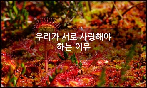 오늘의 이미지