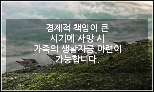 오늘의 이미지