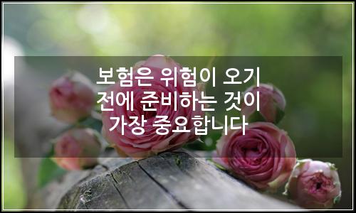 오늘의 이미지