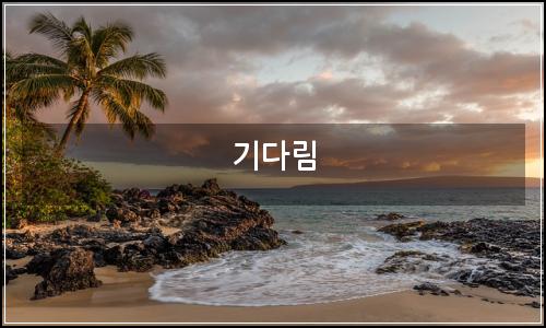 오늘의 이미지