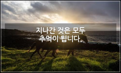 오늘의 이미지