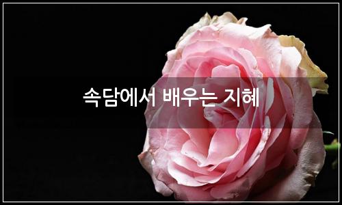 오늘의 이미지