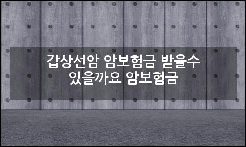 오늘의 이미지