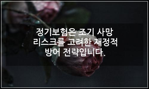 오늘의 이미지