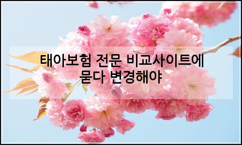 오늘의 이미지