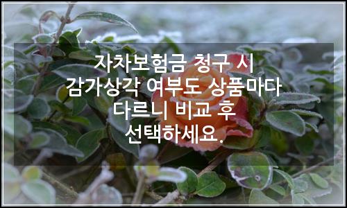 오늘의 이미지