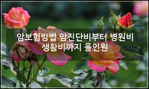 오늘의 이미지