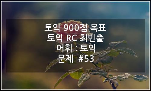 오늘의 이미지