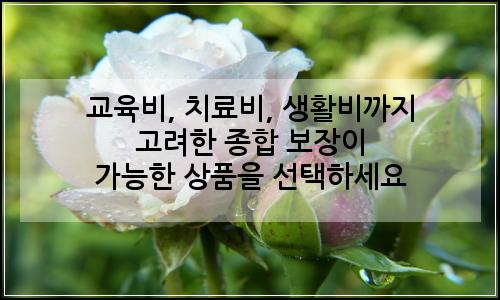 오늘의 이미지