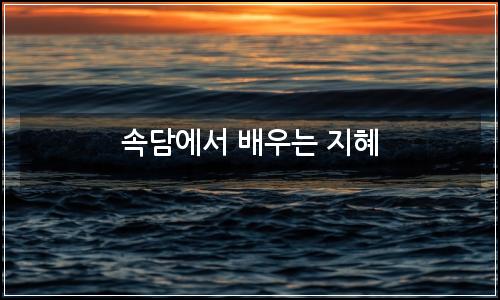 오늘의 이미지