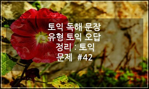 오늘의 이미지