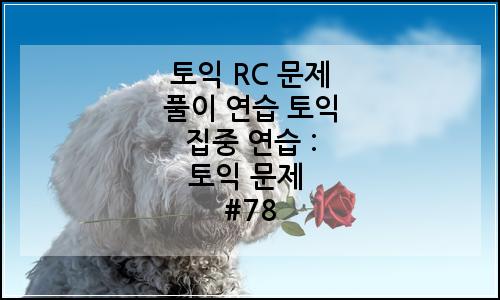오늘의 이미지
