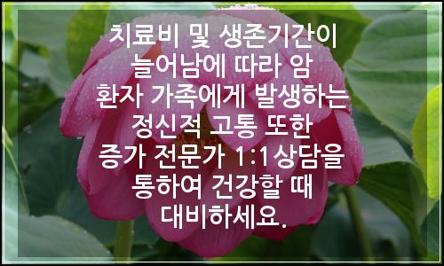오늘의 이미지