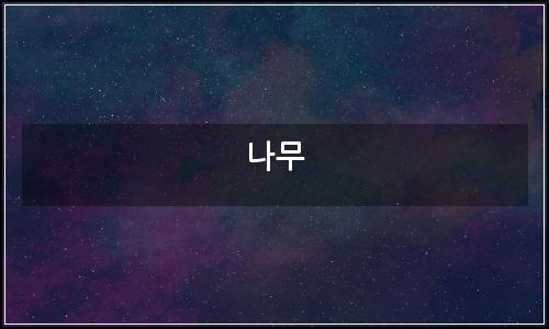 오늘의 이미지