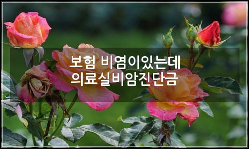 오늘의 이미지