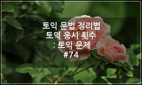 오늘의 이미지