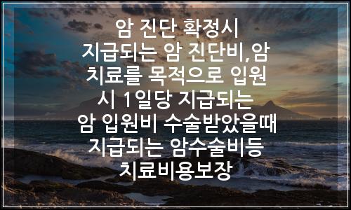 오늘의 이미지