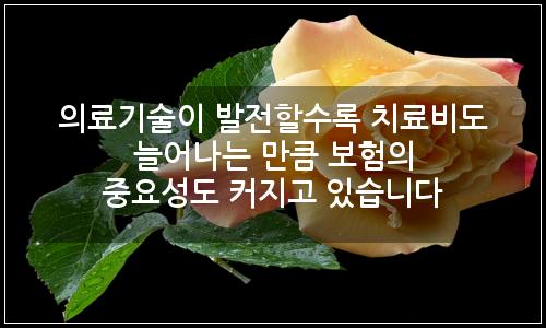 오늘의 이미지