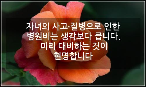 오늘의 이미지