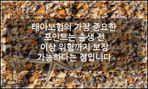 오늘의 이미지