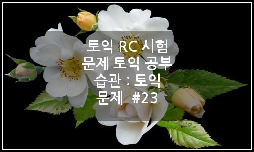오늘의 이미지