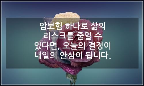 오늘의 이미지