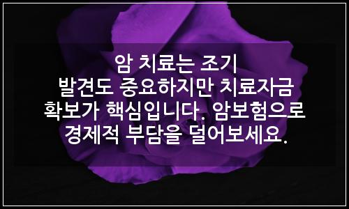 오늘의 이미지