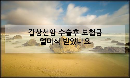 오늘의 이미지