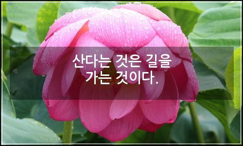 오늘의 이미지