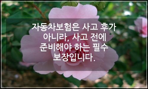오늘의 이미지