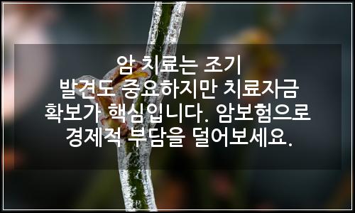오늘의 이미지