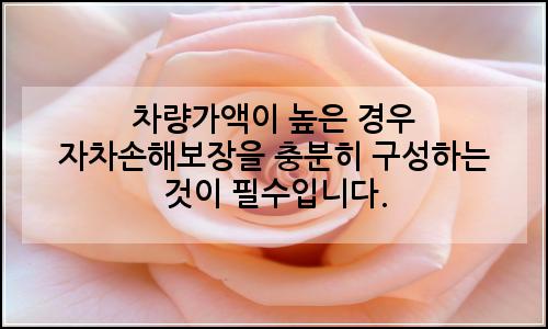 오늘의 이미지