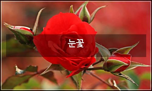 오늘의 이미지