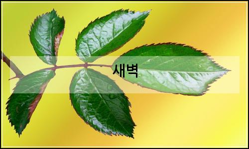 오늘의 이미지