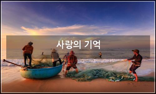 오늘의 이미지