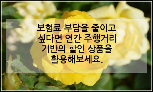 오늘의 이미지