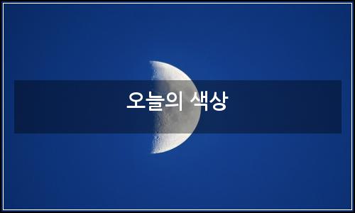 오늘의 이미지