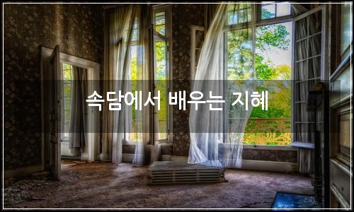 오늘의 이미지