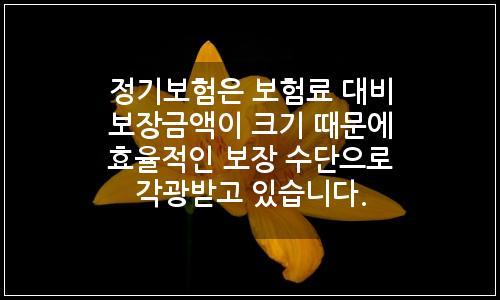 오늘의 이미지