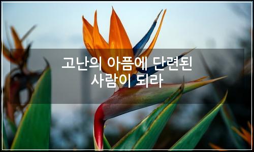 오늘의 이미지