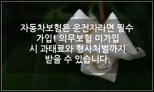 오늘의 이미지