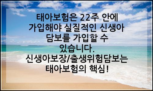 오늘의 이미지