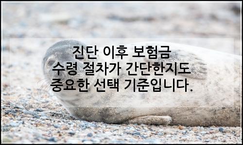 오늘의 이미지